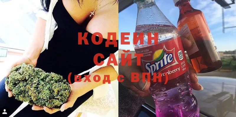 купить   Балтийск  Кодеиновый сироп Lean Purple Drank 